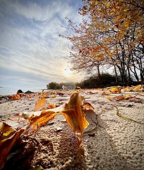 Herbst im NOrden
