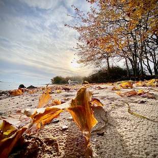 Herbst als Inspirationsquelle