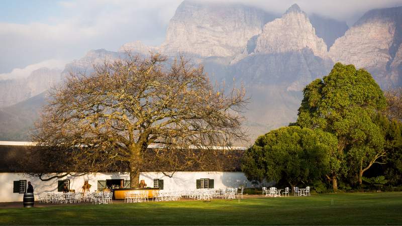 African Wildlife meets vibrant Cape Town