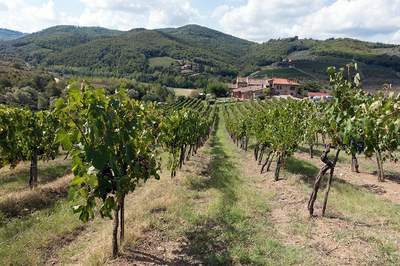 Incentive Reise Toskana Wein