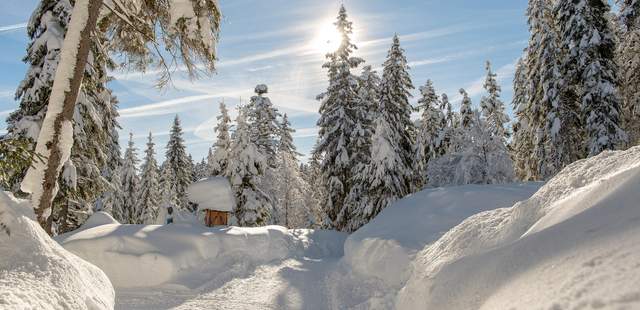 Kickoff Event in den Bergen mit Winter Games