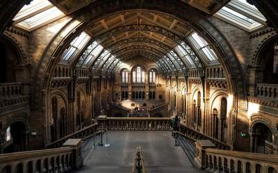 Incentive Reise Gruppenreise Grossbritannien London Naturkundemuseum