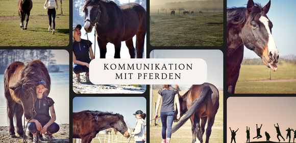 Kommunikation mit Pferden