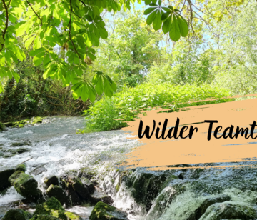 Wilder Teamtag