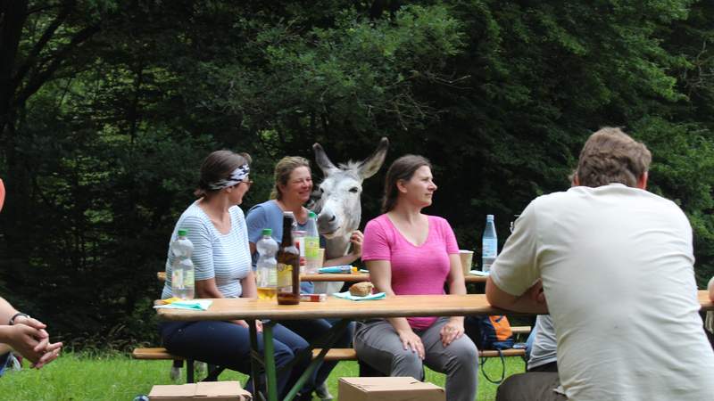 Team der Zukunft: Schafe Hüten Teambuilding