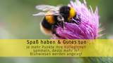 Ein Team Building Event, das für Artenschutz und -vielfalt sorgt