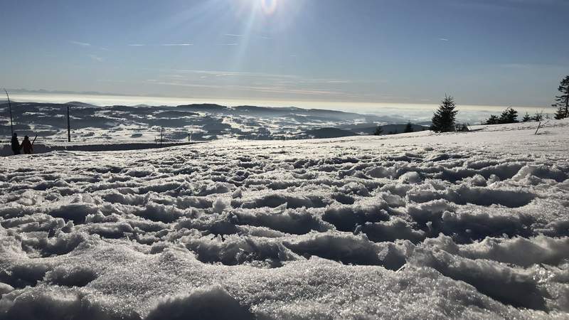 Zipflbob-Schneeschuhtour in Niederbayern