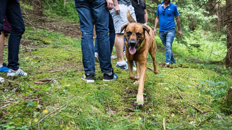 Teamevent Retreat: Achtsam zu mehr Resilienz