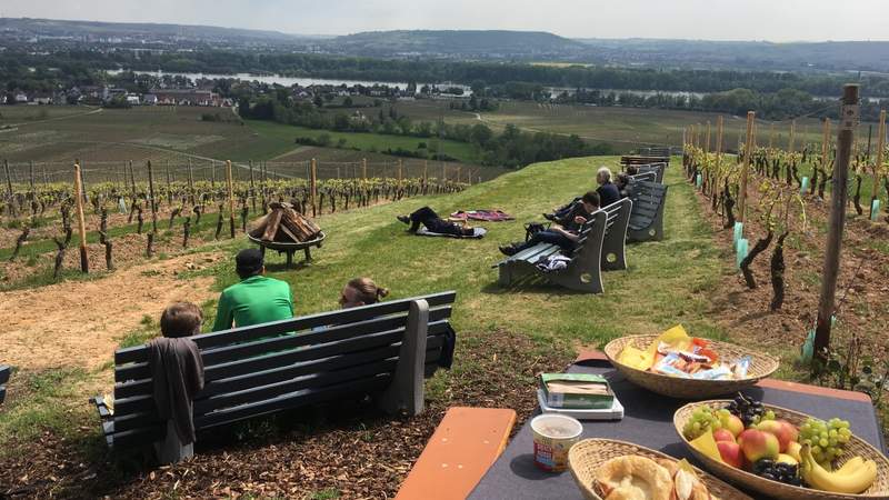 Geländewagen/SUV-Tour durch den Rheingau