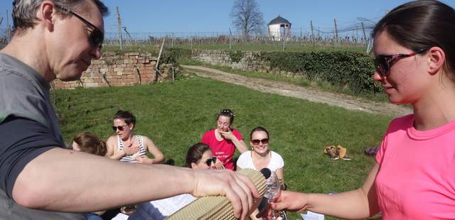 Pfalz Wein