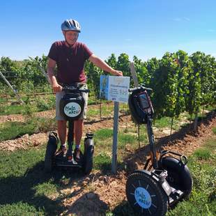 Segway-Wein Wein reben