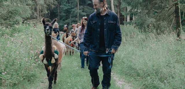 Wandern mit Lama Kasimir im Wald Teambuilding mit Alpakas & Lamas