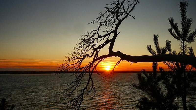 Insel-Safari | Natur erleben