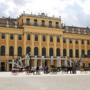 Pferkutschen stehen bereit vor dem Schloss Schönbrunn