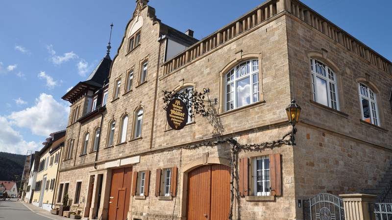 Traditionelles und Weingut Weingut in der Pfalz