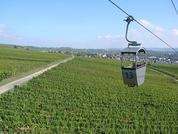 Betriebsausflug ins Rheingau