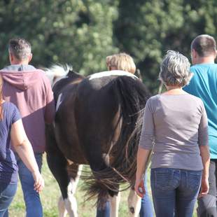 Ressourcentraining für Teams