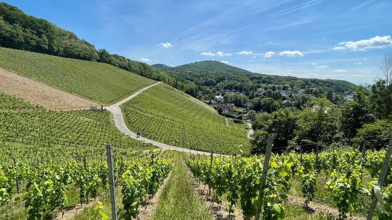 Tagesreise an den Mittelrhein