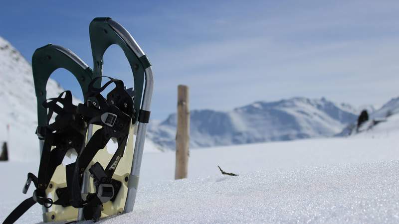 Neu! Teamevent mit Elektro-Bobs im Schnee