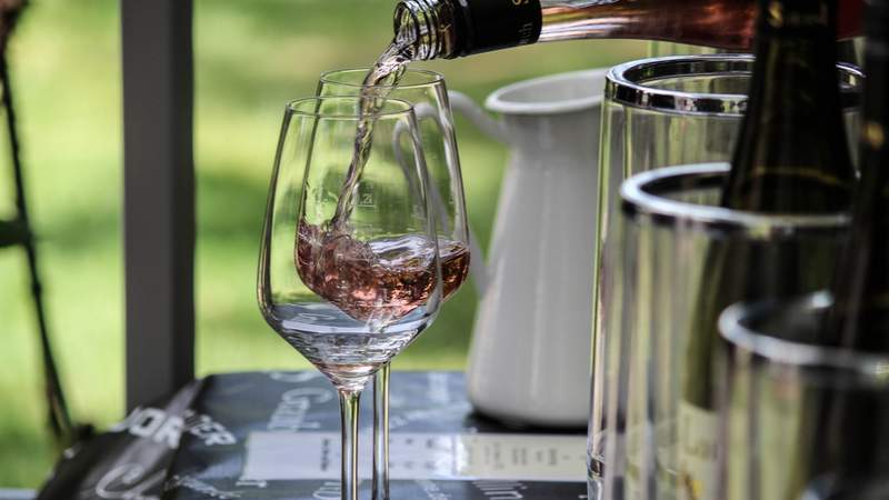 Bootstour, Barbecue & Bash in Rheinhessen