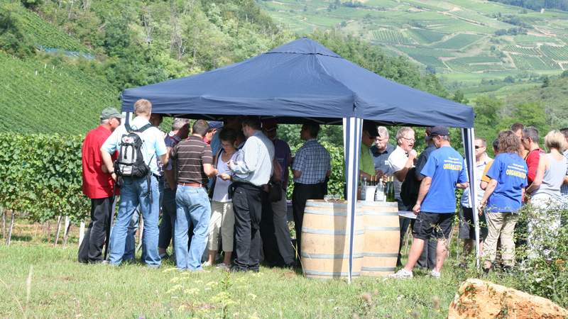 Weinsafari mit Cabriojeeps | Wein-Genussreise