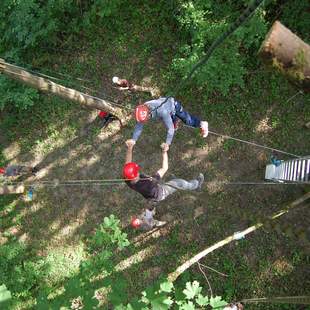 Teambuilding: Klettern im Hochseilgarten