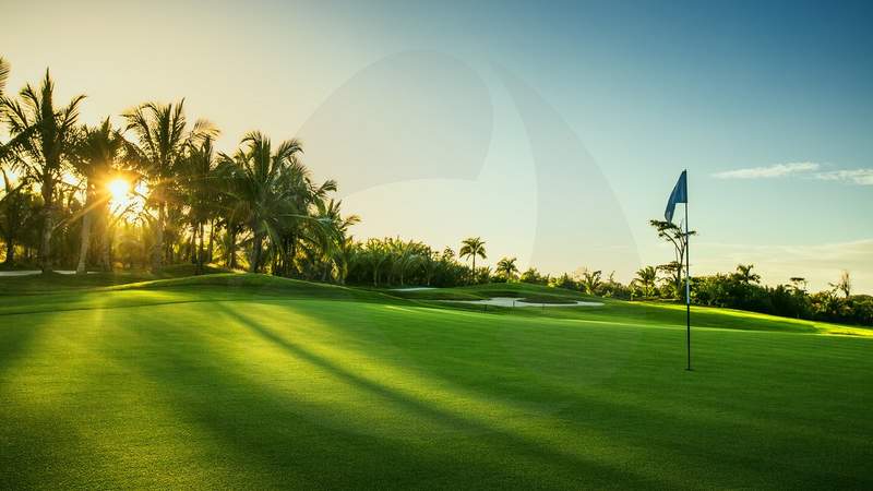 Luxury Incentive in Marbella