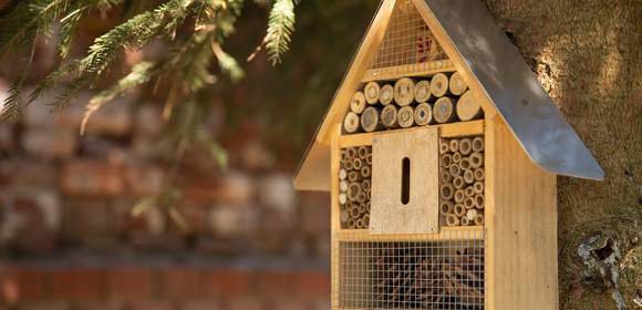 Insektenhotel bauen