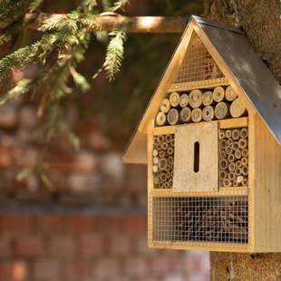 Insektenhotel bauen