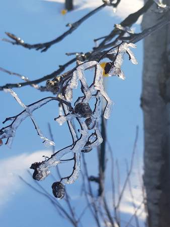 Erlebnis - Weihnachtsfeier in Oberwiesenthal