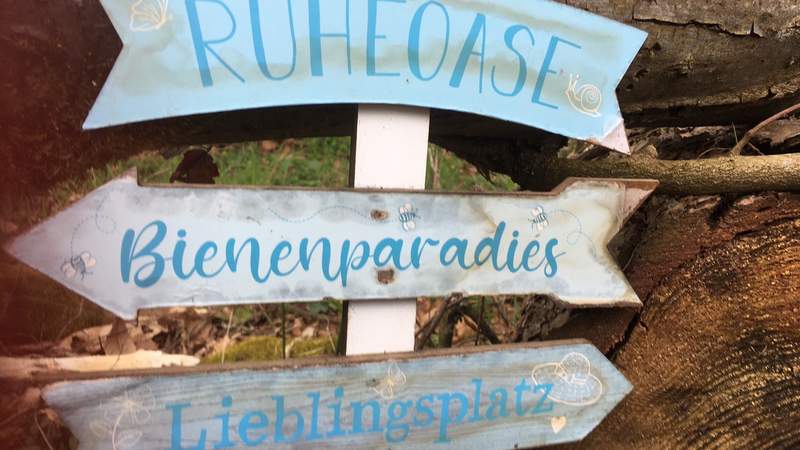 Waldbaden Lieblingsplatz
