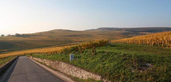 Weinberge