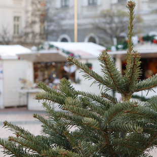 Firmeneigener Weihnachtsmarkt
