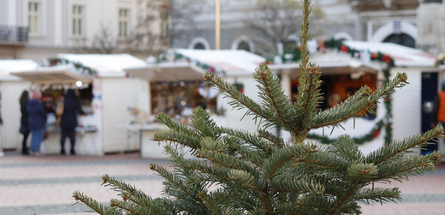 Firmeneigener Weihnachtsmarkt