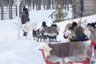 Incentive Reise Lappland Schlitten