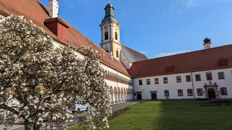 Resilienztraining Heidelberg/Mainz