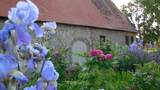 Klösterlicher Kräutergarten