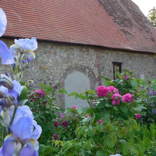 Klösterlicher Kräutergarten Rosensalbe und Hustensirup