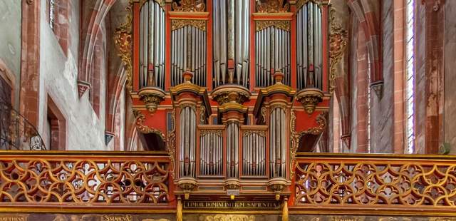 Privater Cocktail & Orgelkonzert | Straßburg