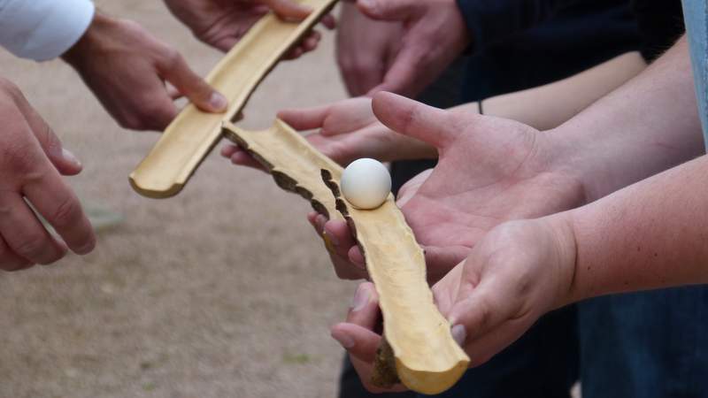 The Outdoor Team Challenge