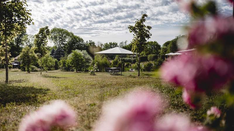 Wiese Landhotel Rügheim