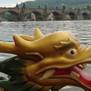 Wettbewerbe auf den Drachenschiffen