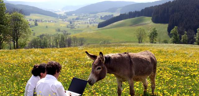 Tagung SCHWARZWALD-Tages-Seminarpauschale