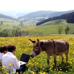 SCHWARZWALD-Seminarpauschale mit Übernachtung