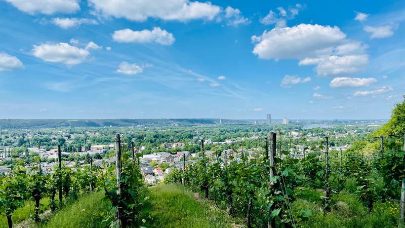 Tagesreise an den Mittelrhein