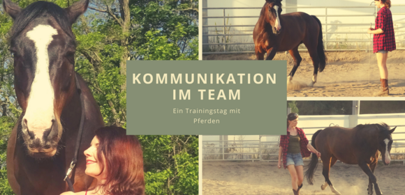 Kommunikation im Team