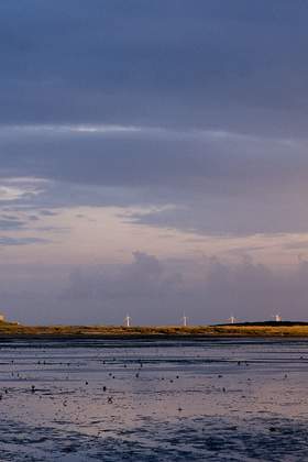 Nordsee - Nordfriesland