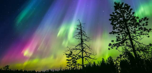 Nordic Unique Travels