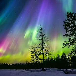 Nordic Unique Travels