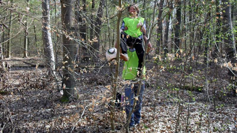 Ball liegt im Baum beim Teambuilding Geocaching-WM